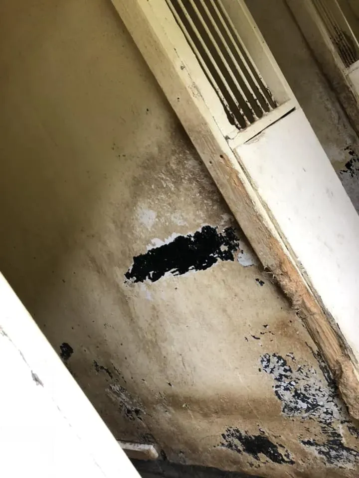 45081644 10156085314728869 4088483599328739328 n