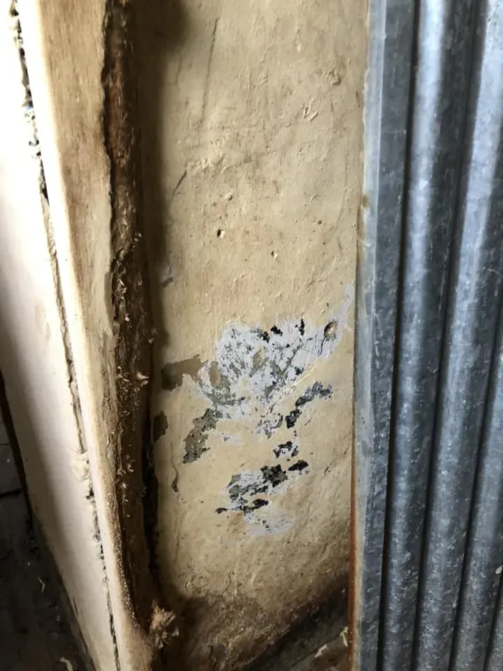 45082888 10156085315233869 9124022064544481280 n