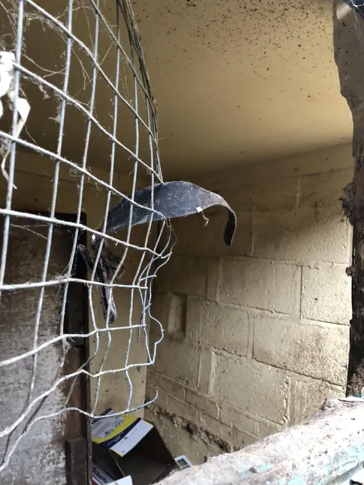 45082921 10156085313713869 3357632821572141056 n