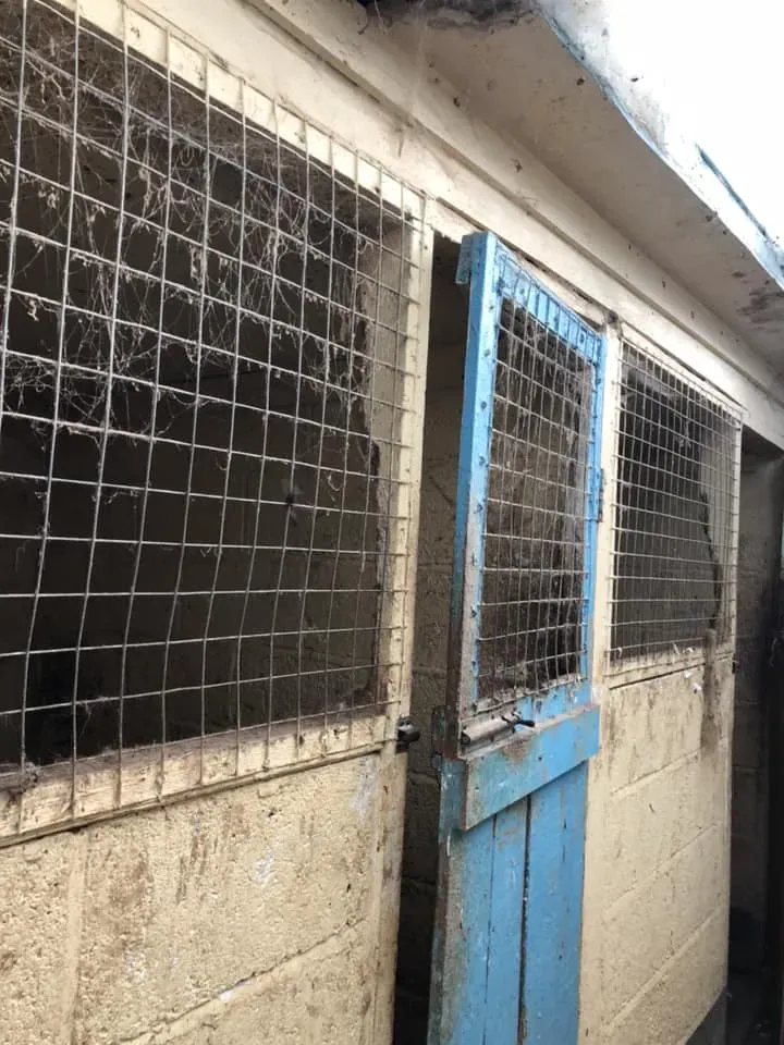 45087102 10156085313838869 6943014152394768384 n