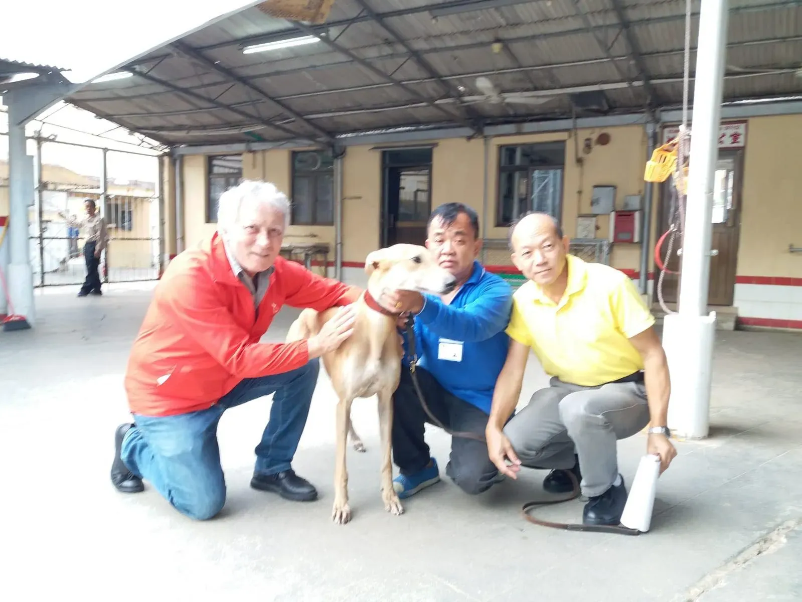 45087796 1770438819757473 3356464233985343488 o