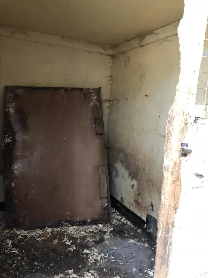 45093192 10156085313693869 5471380862966693888 n