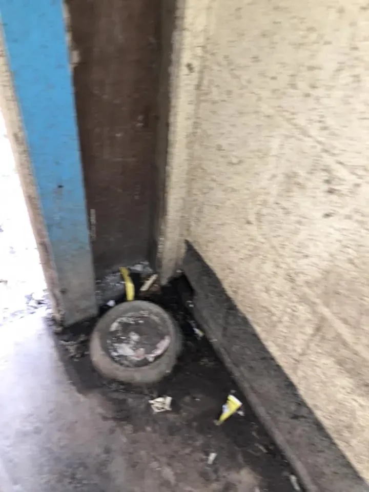 45105885 10156085315583869 7936464406064398336 n