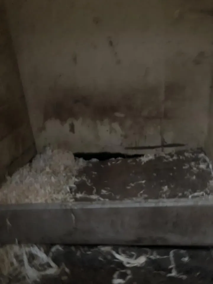 45109416 10156085315488869 5401822467448635392 n