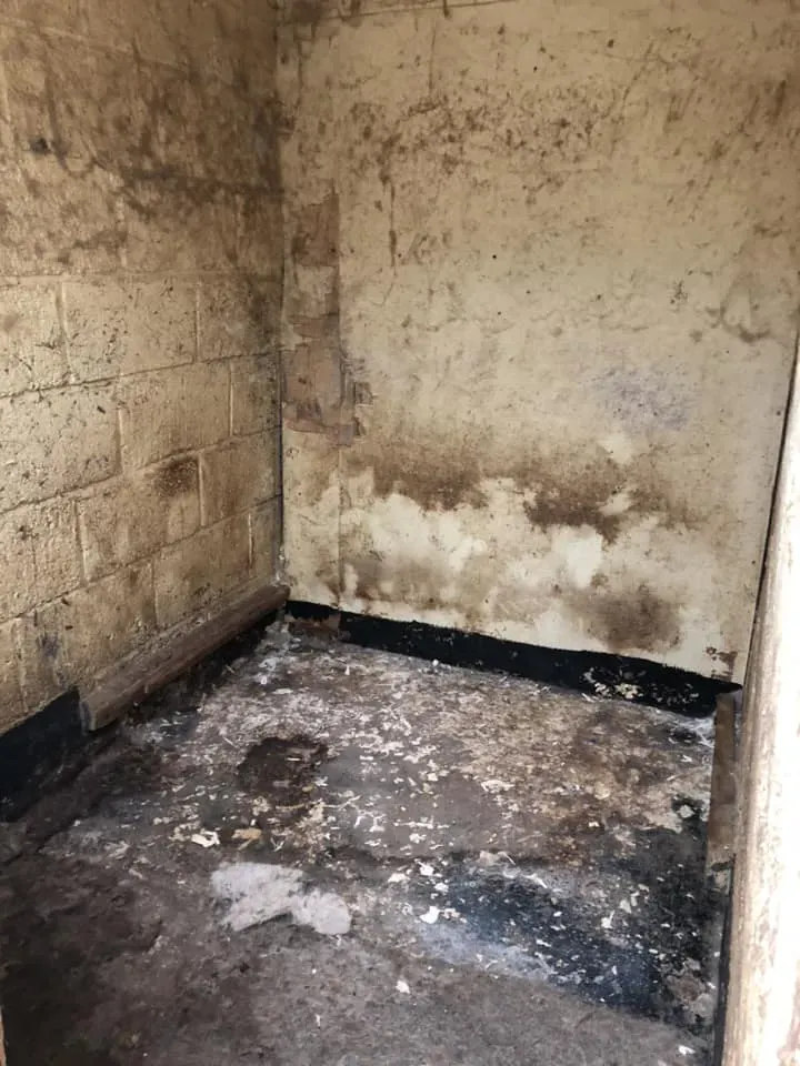 45116284 10156085314998869 5075447378639585280 n