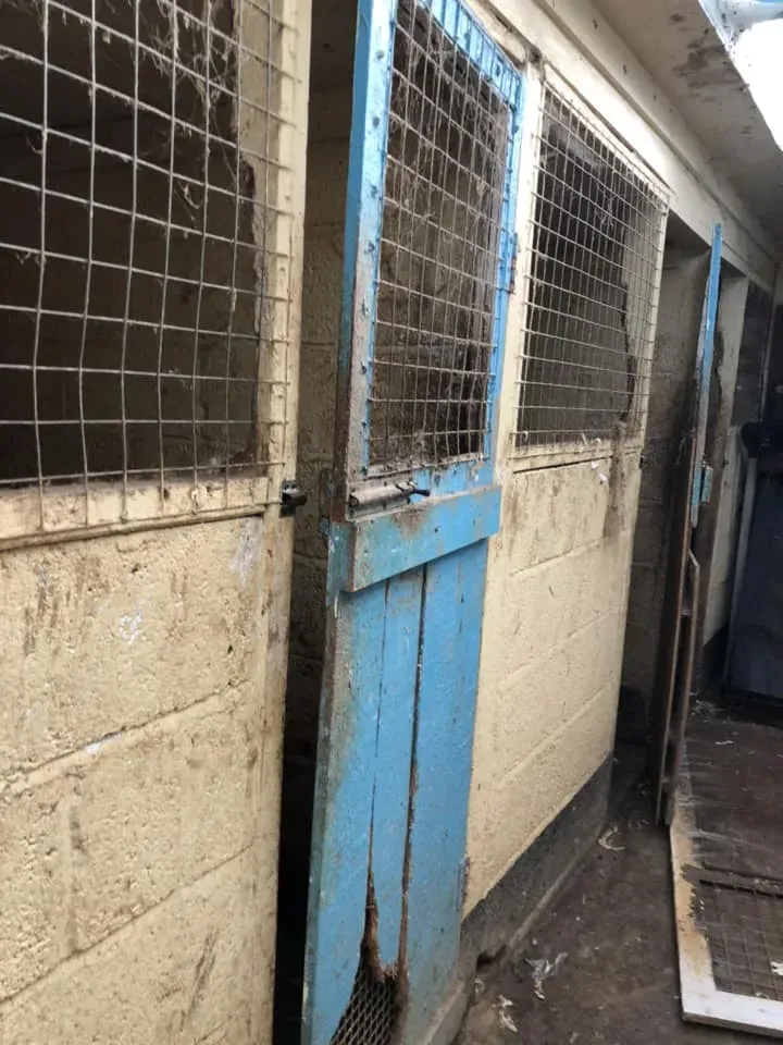 45136200 10156085313863869 3057528381265412096 n