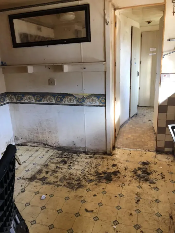 45144579 10156085314263869 387251646024908800 n