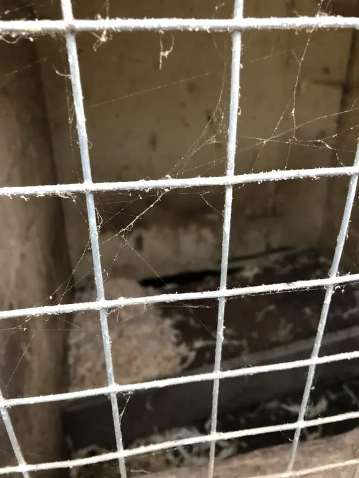 45146870 10156085313583869 6667801311016124416 n