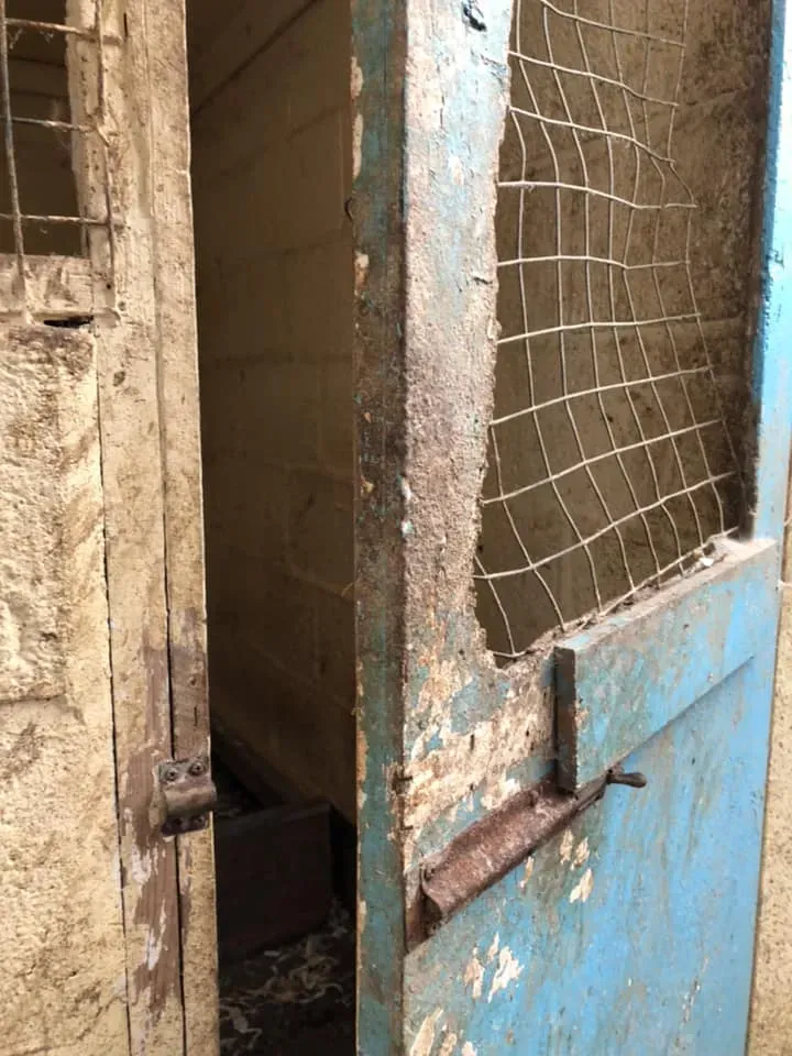 45148328 10156085314178869 5499337230298120192 n