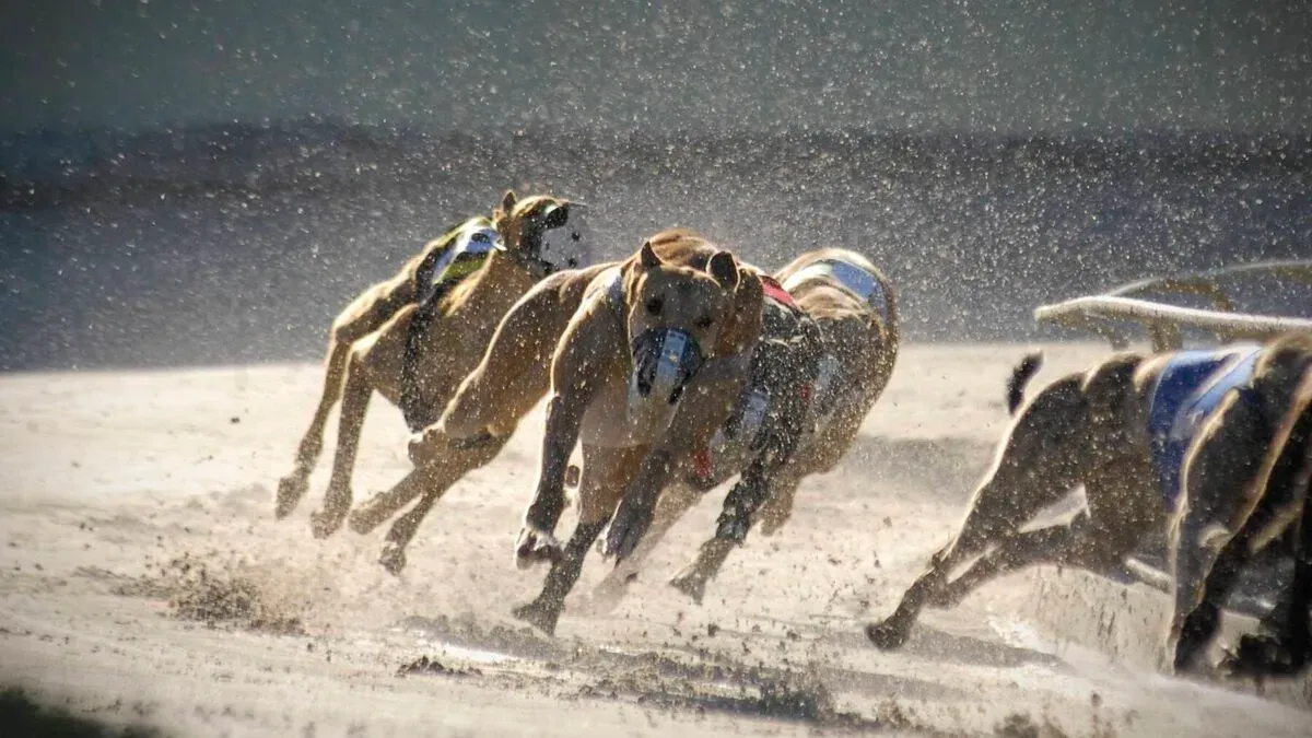 4515685 25 articlelarge istock 174620987 20 1 