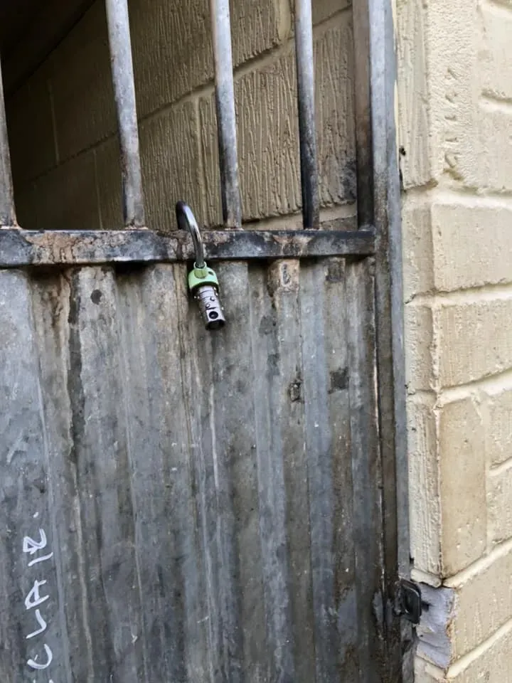 45159250 10156085314293869 5790037818235420672 n