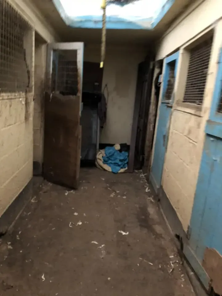 45166155 10156085315508869 6681521901870776320 n