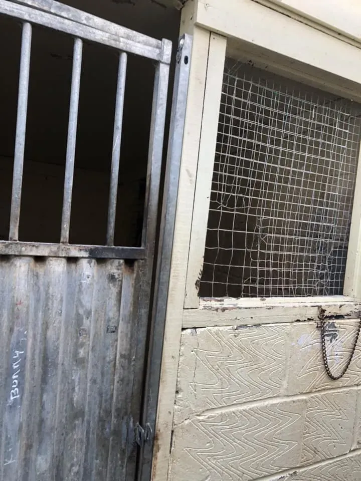 45191582 10156085314688869 6556944597333835776 n