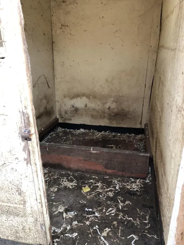 45198397 10156085313953869 246562871188652032 n