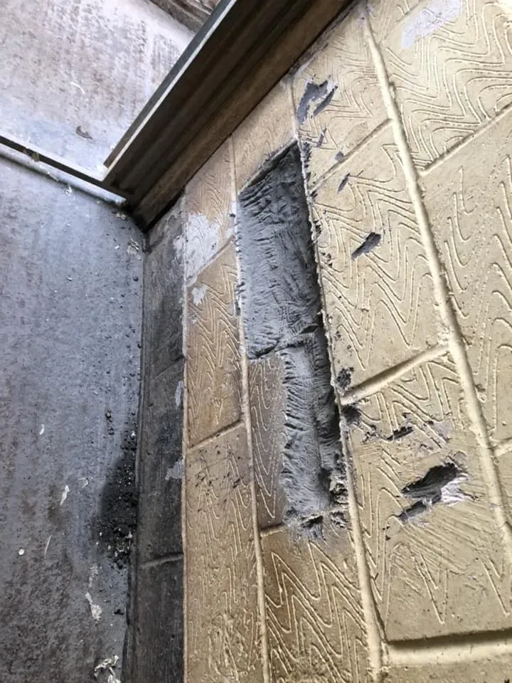 45206471 10156085314533869 8014542058192633856 n