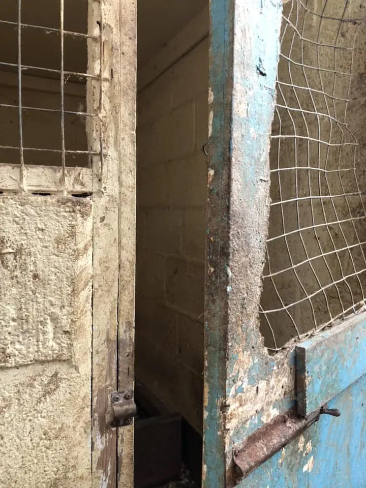 45210351 10156085314118869 3469244371461734400 n