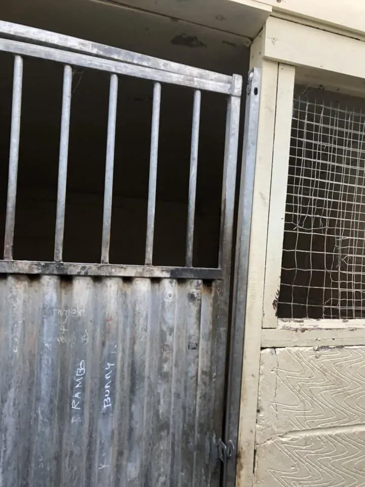 45219117 10156085314598869 8744918804703739904 n