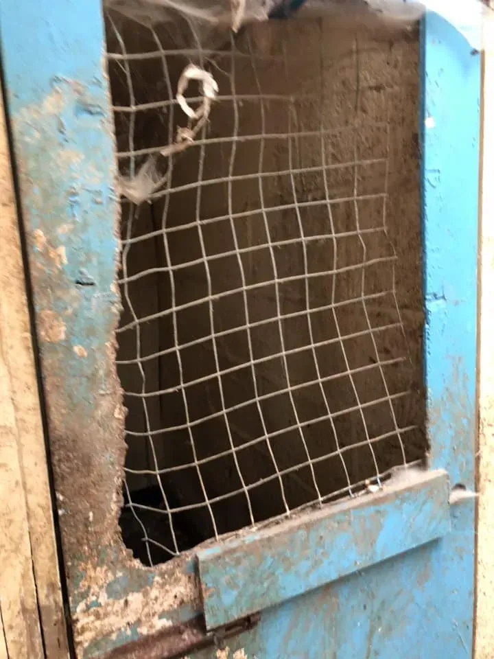 45221828 10156085315268869 2021631356651438080 n