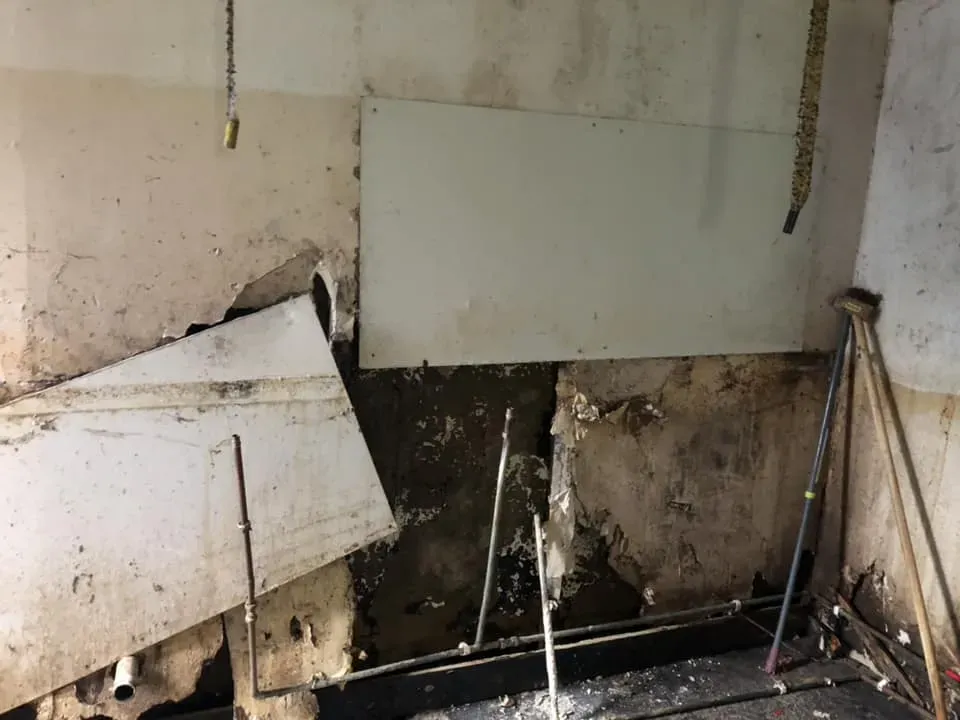 45232468 10156085315163869 2970543078634422272 n