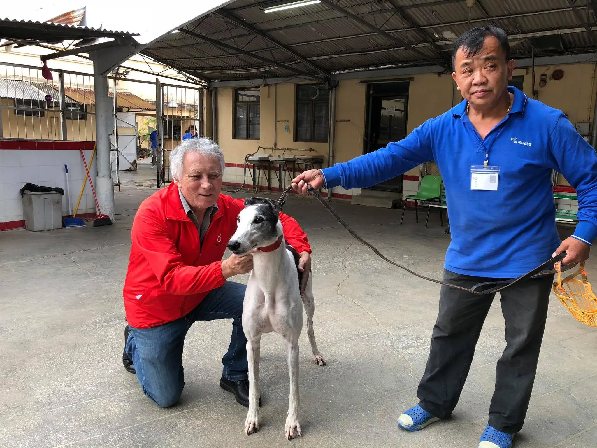 45243655 1770439023090786 4225656002835382272 o