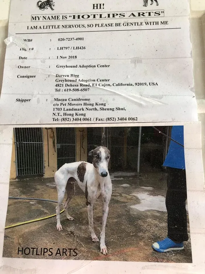 45292654 1770439046424117 4276549930773905408 n