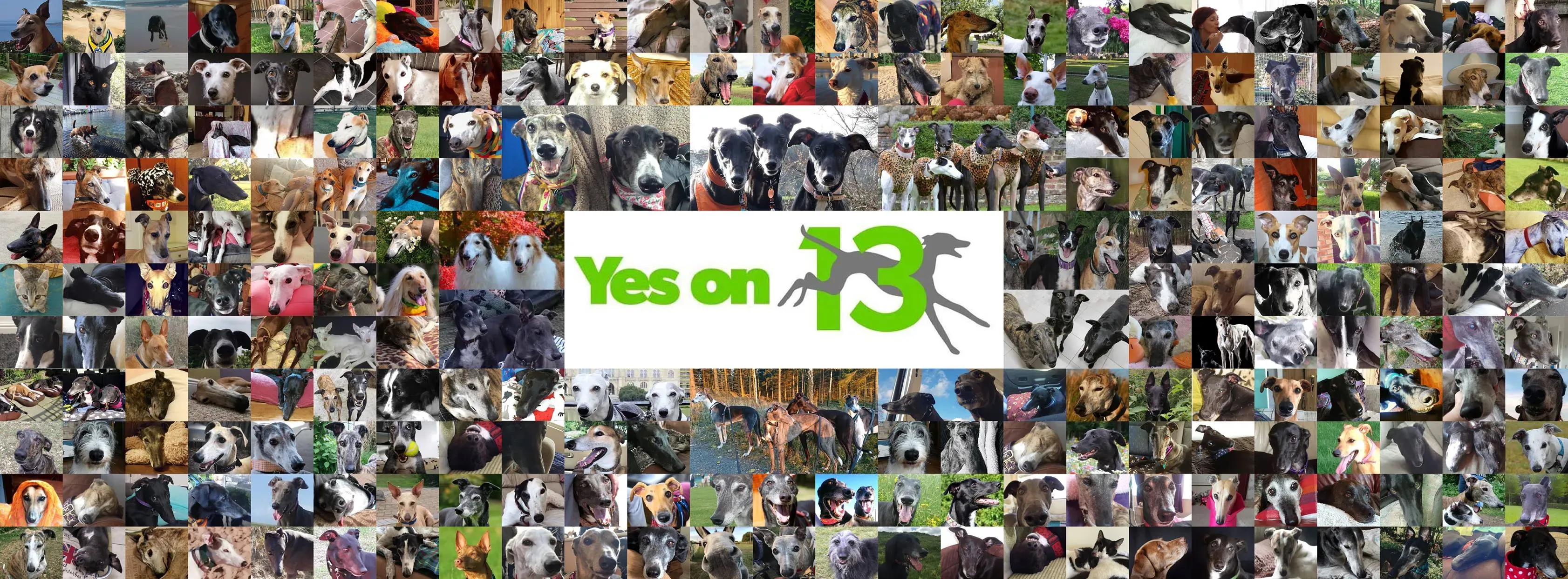 45403625 612571069160821 2157825972198440960 o