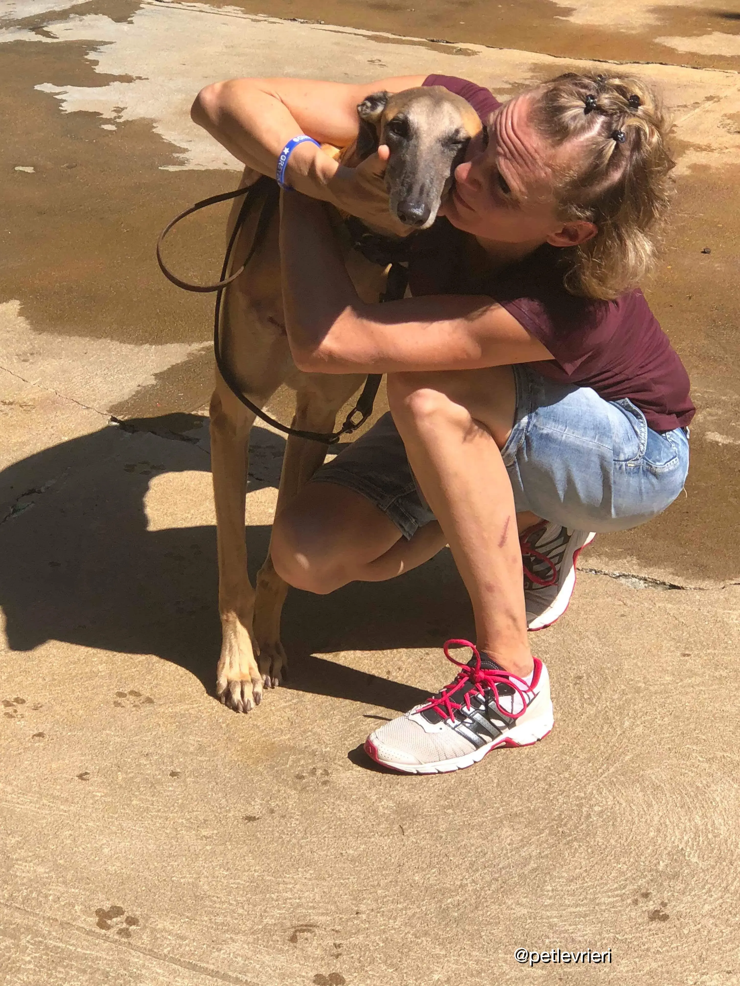 458E69A2 C587 4714 9E22 AD21A933181D