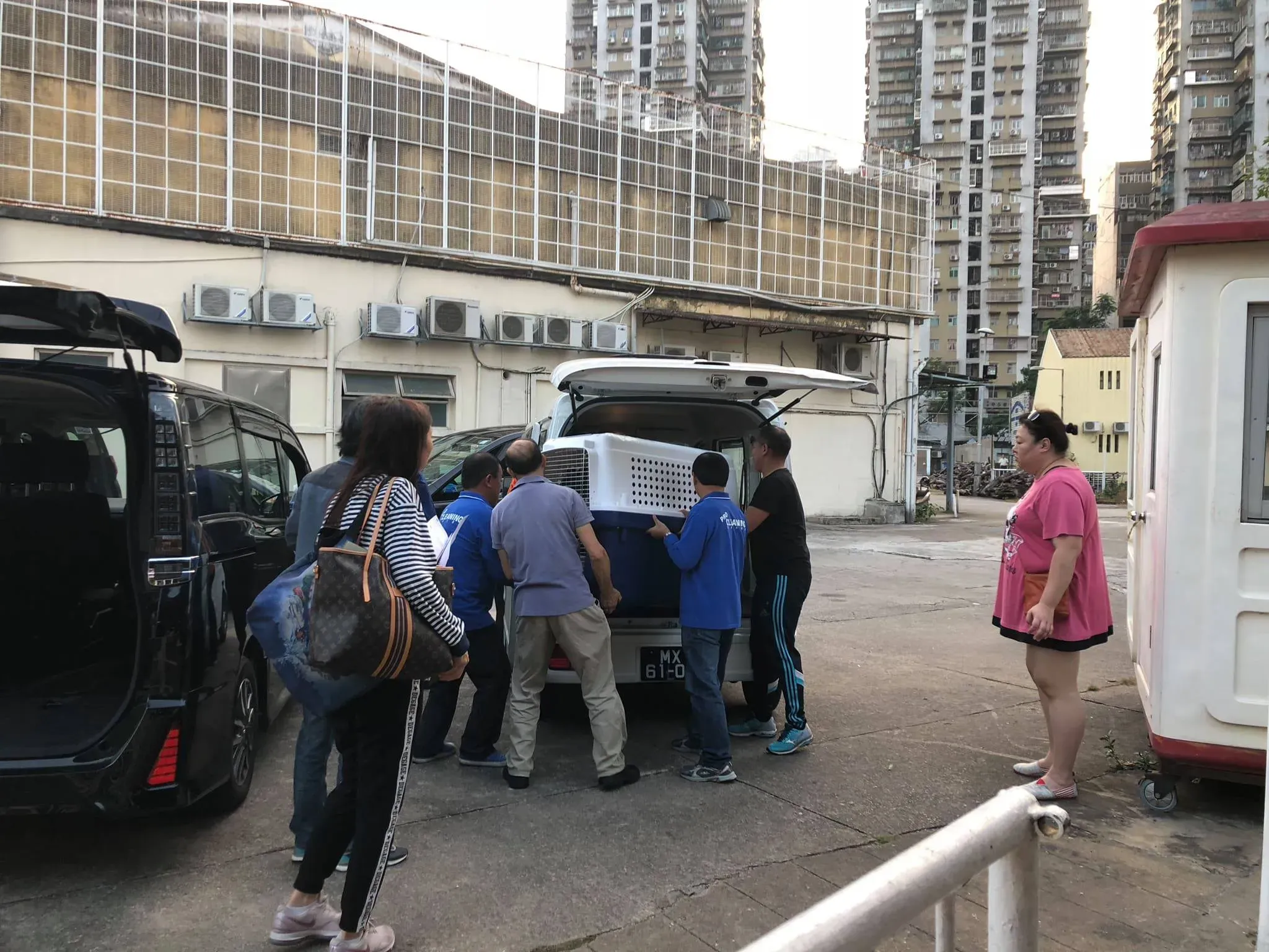 46098140 1786661034801918 2758735602496045056 o