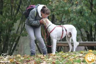 46131339 2050294418324262 6721106536673837056 n