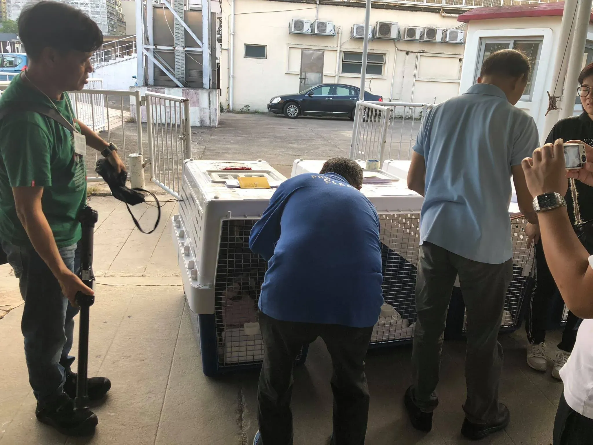 46180130 1786661184801903 4322683132277948416 o