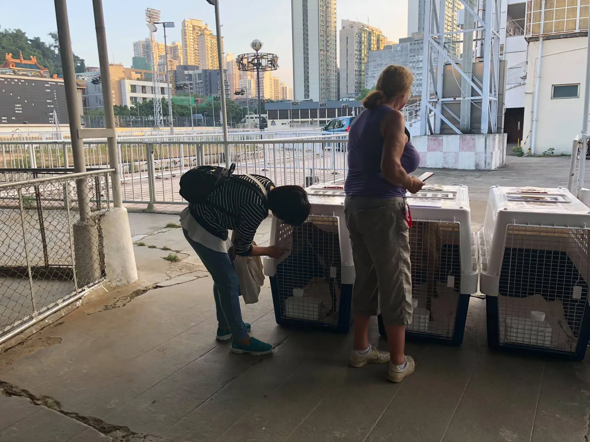 46187146 1786661141468574 6048576887901388800 o