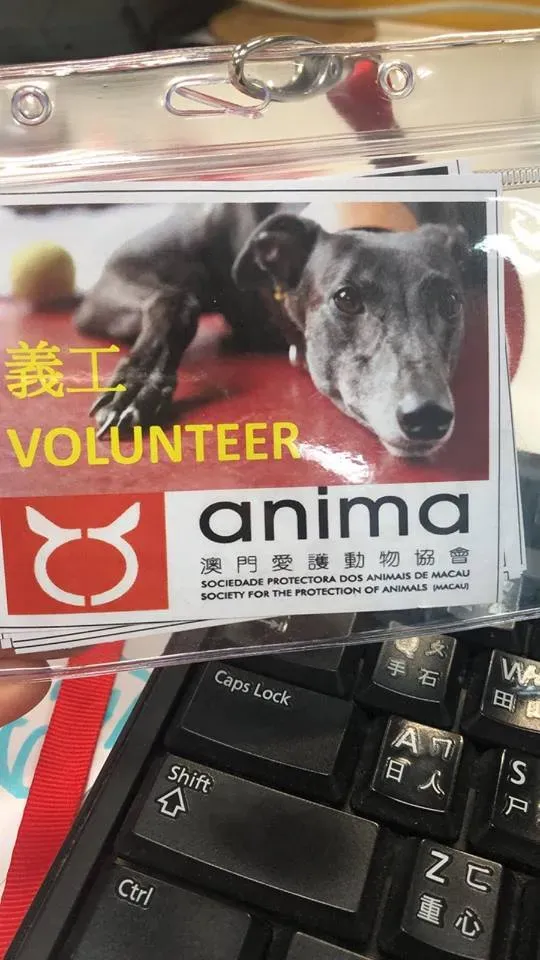 46250290 1786660834801938 8690521179884093440 n