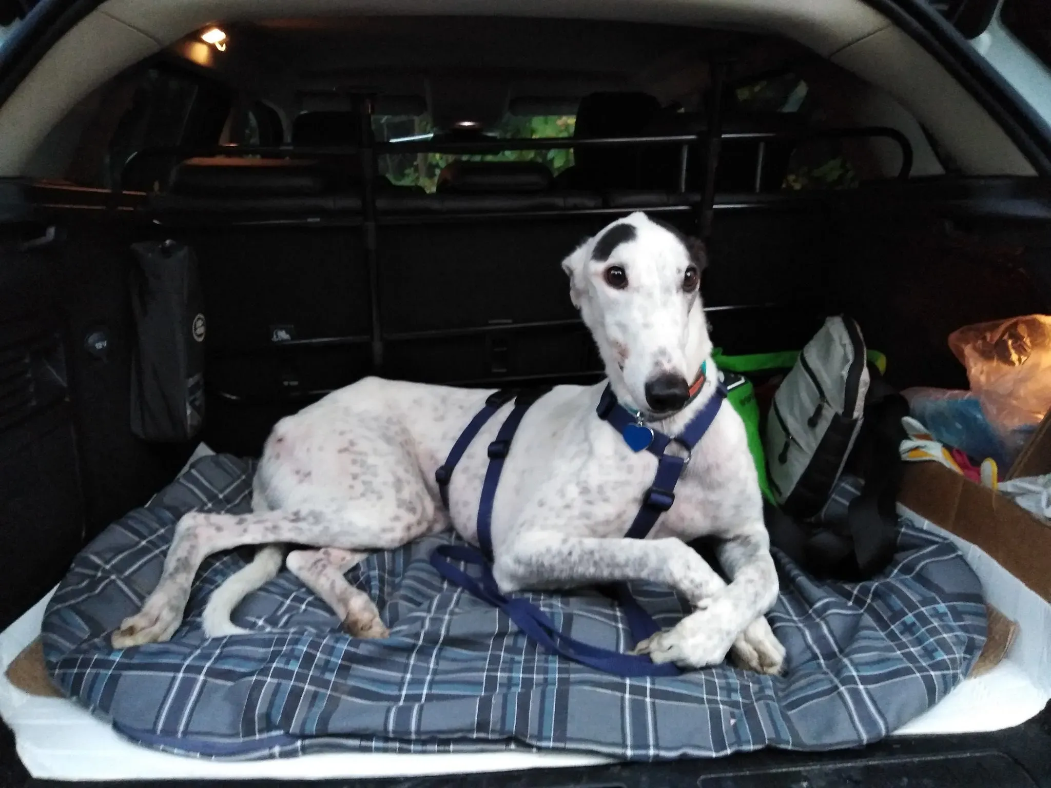 46269189 352479791985046 20389189006655488 n