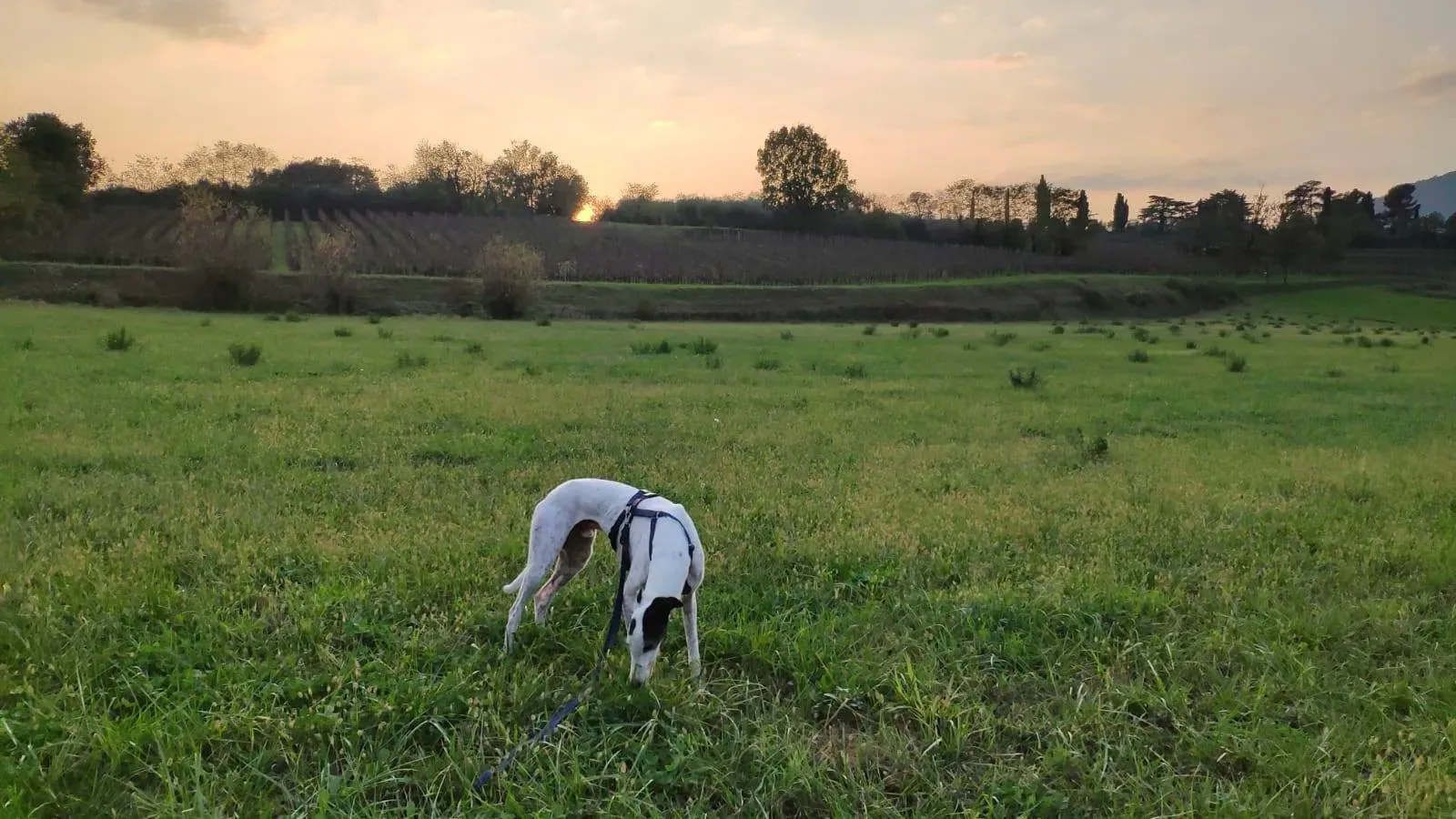 46370019 352479631985062 8135895809385299968 n