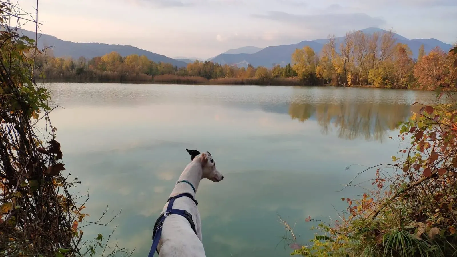 46436327 352479655318393 8420182512206086144 n