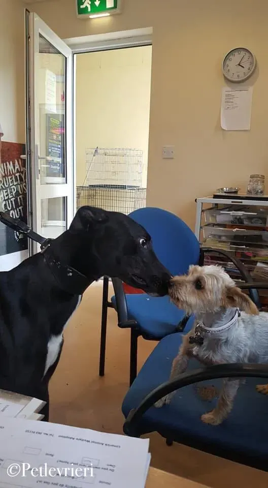 46470634 2359252617422570 7627124643609968640 n