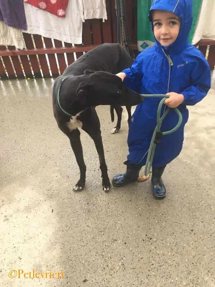 46495196 333672030756237 2015571230811226112 n