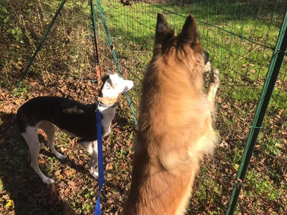 46513855 10215351210288001 6618581466840301568 n