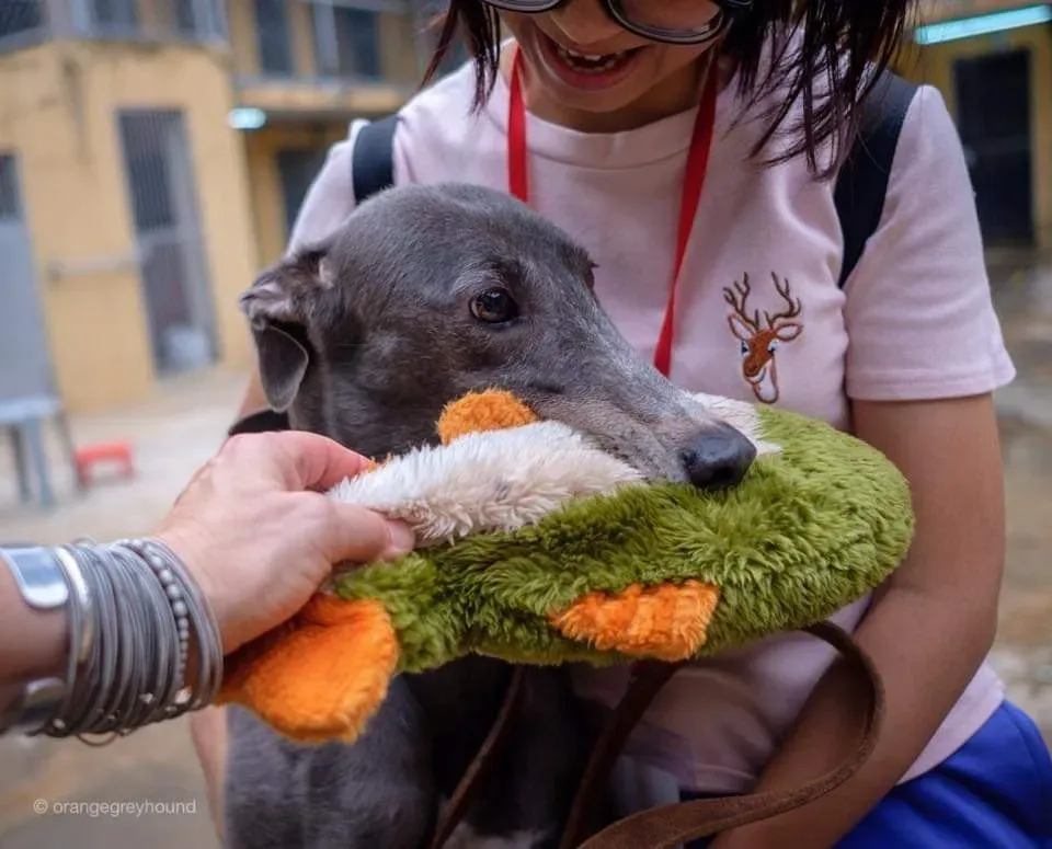 46519331 1992961677454344 5912659323514781696 n