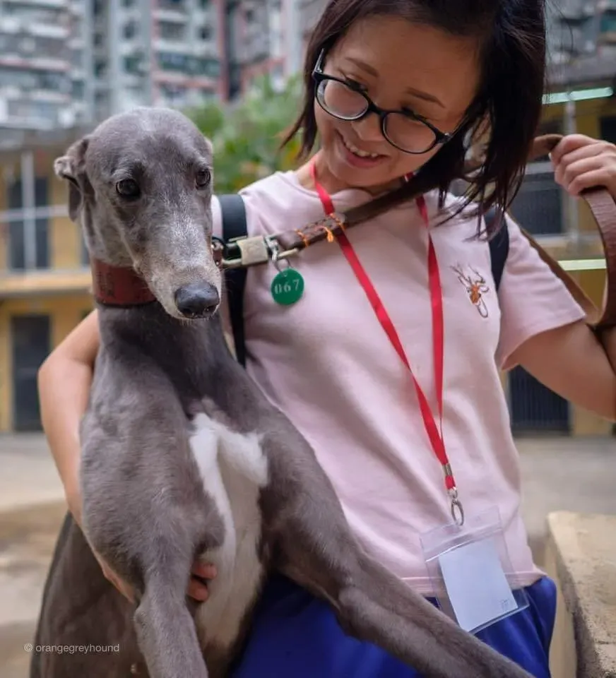 46631827 1992961600787685 3740989761188265984 n