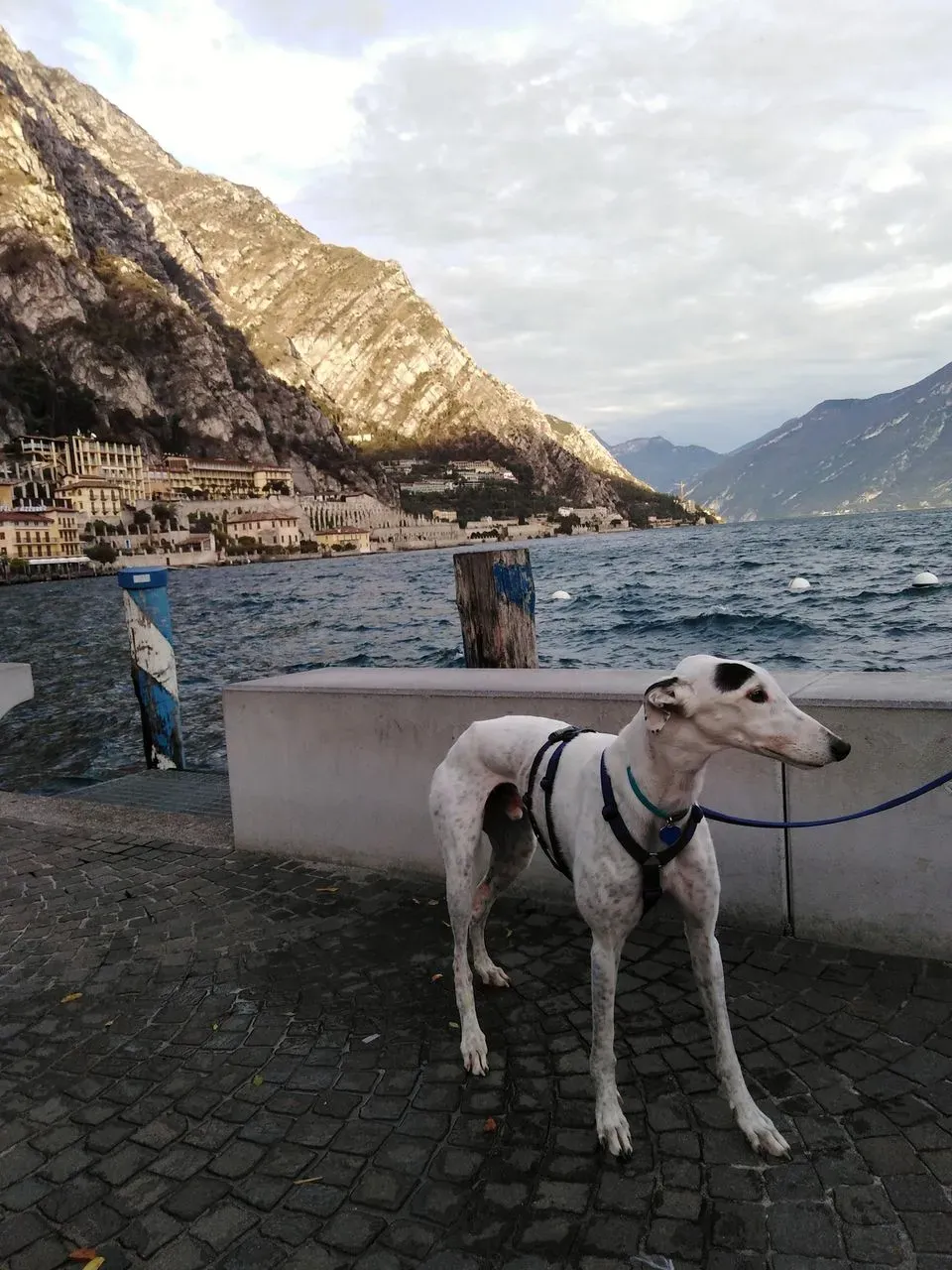 46752296 356450738254618 6197730201464471552 n