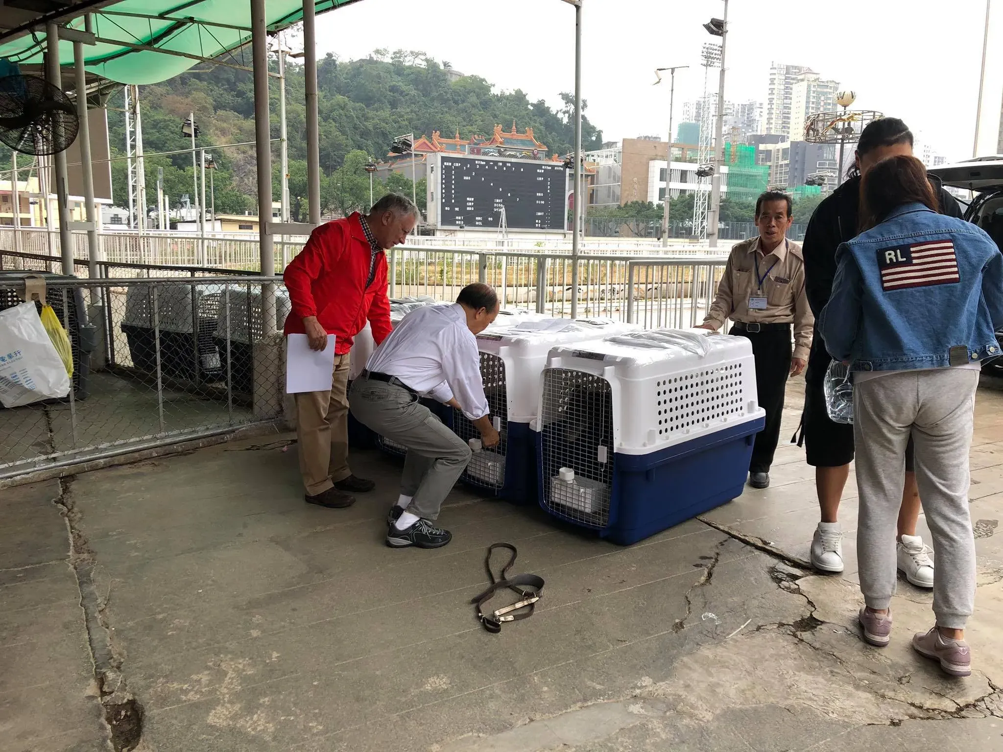 46753618 1801479326653422 486747715942744064 o