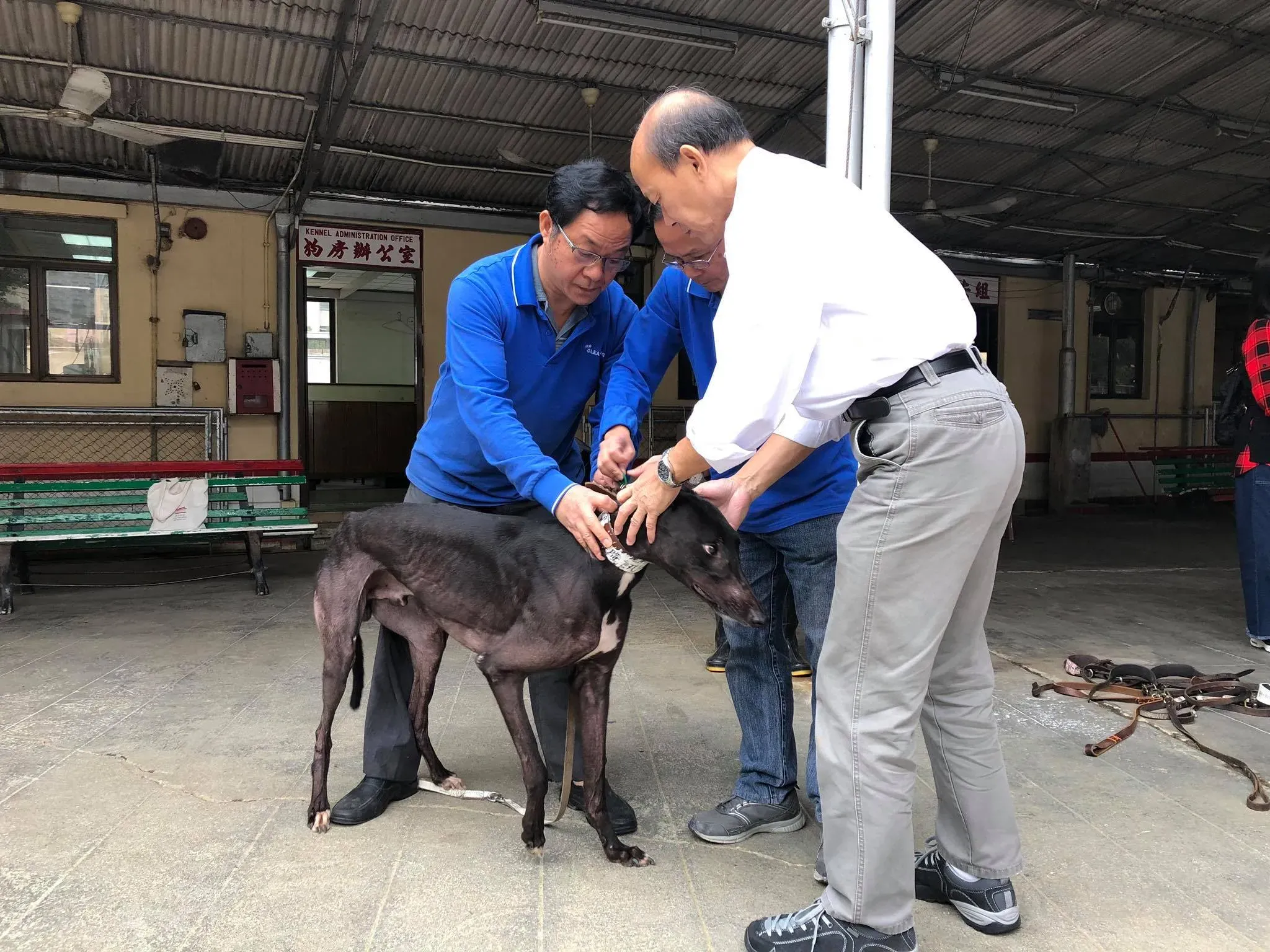 46768401 1801478676653487 4667274543188934656 o