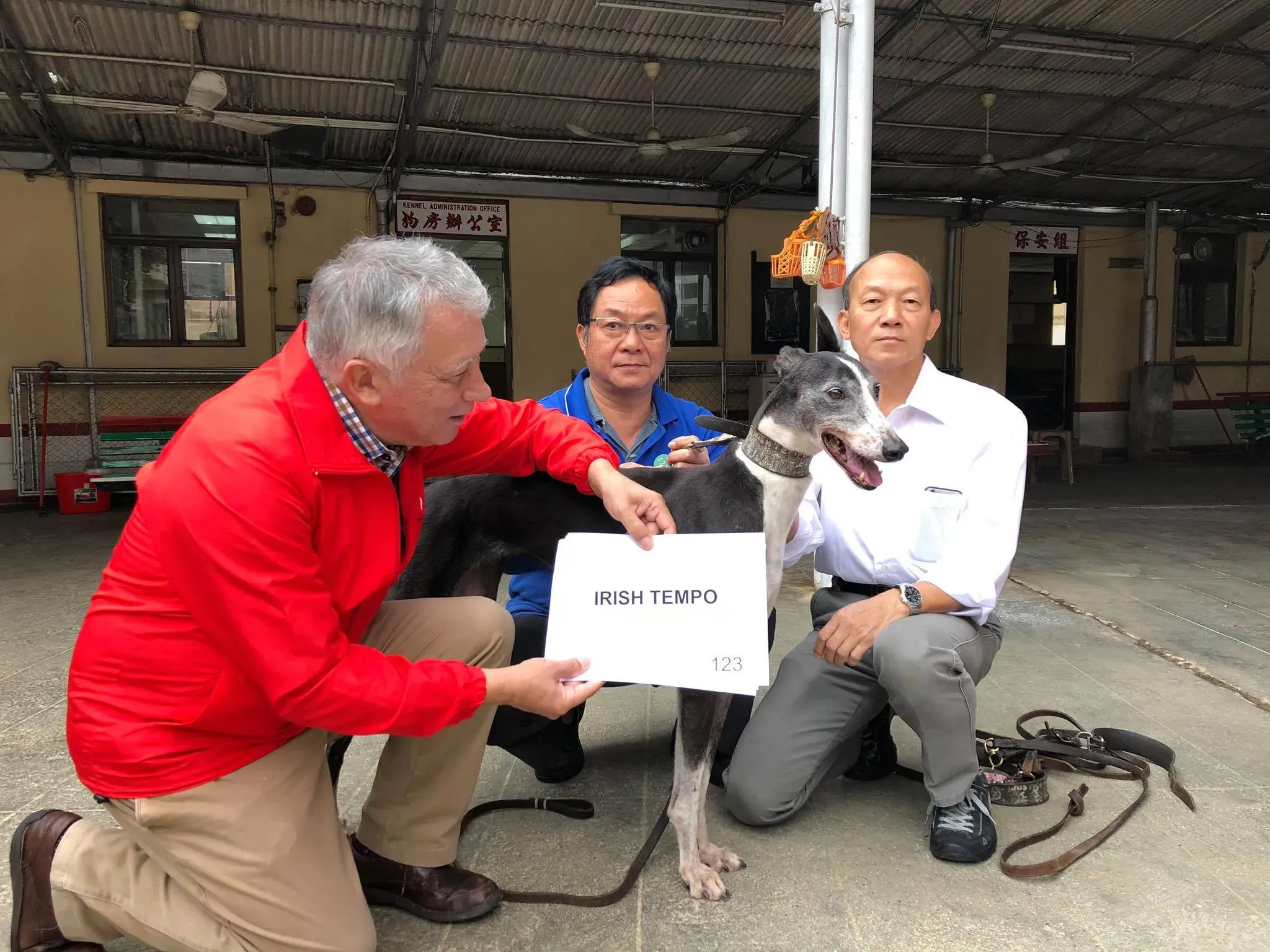 46771327 1801479396653415 6390473696460406784 o