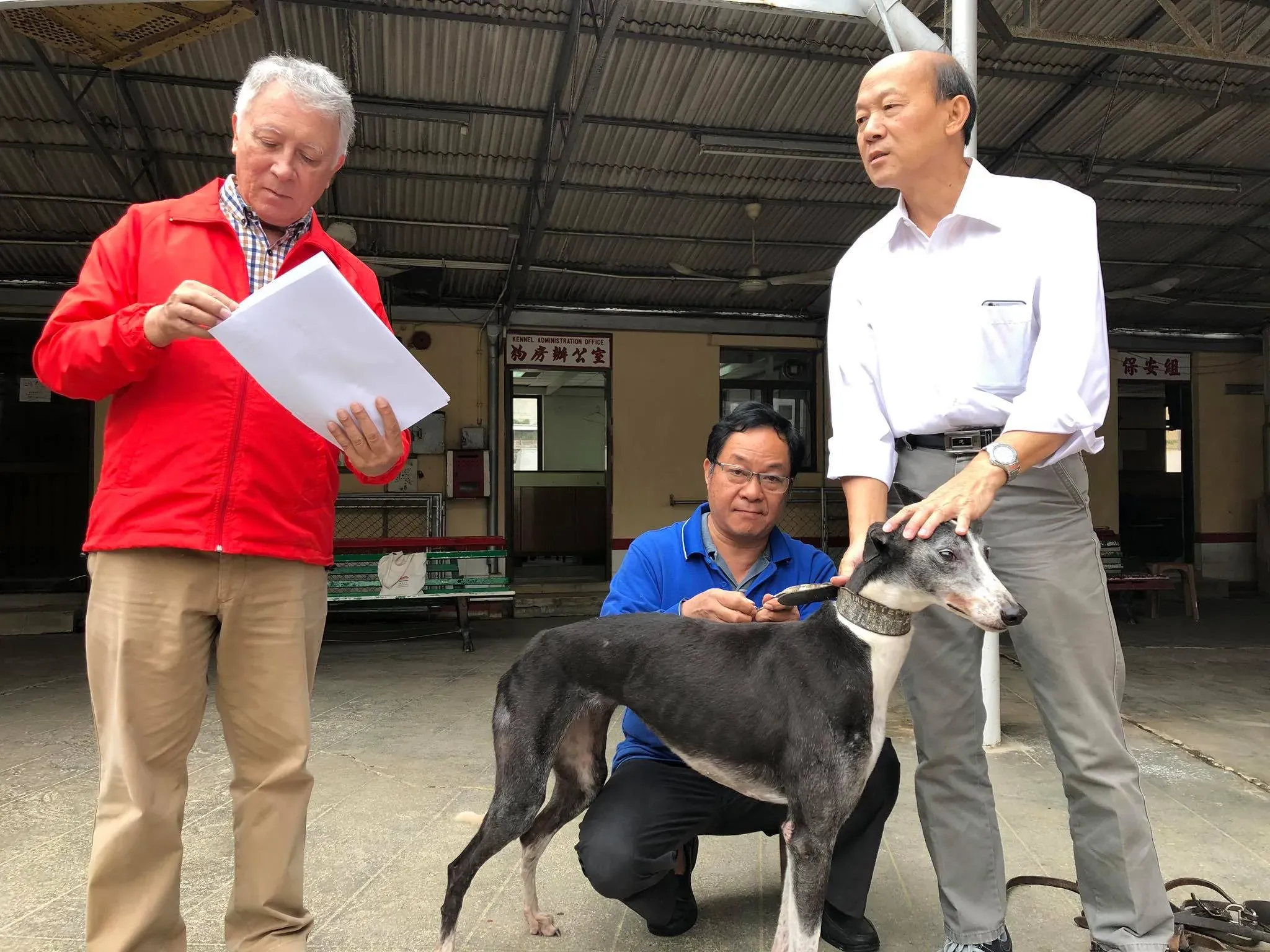 46778389 1801479503320071 7179083679744917504 o