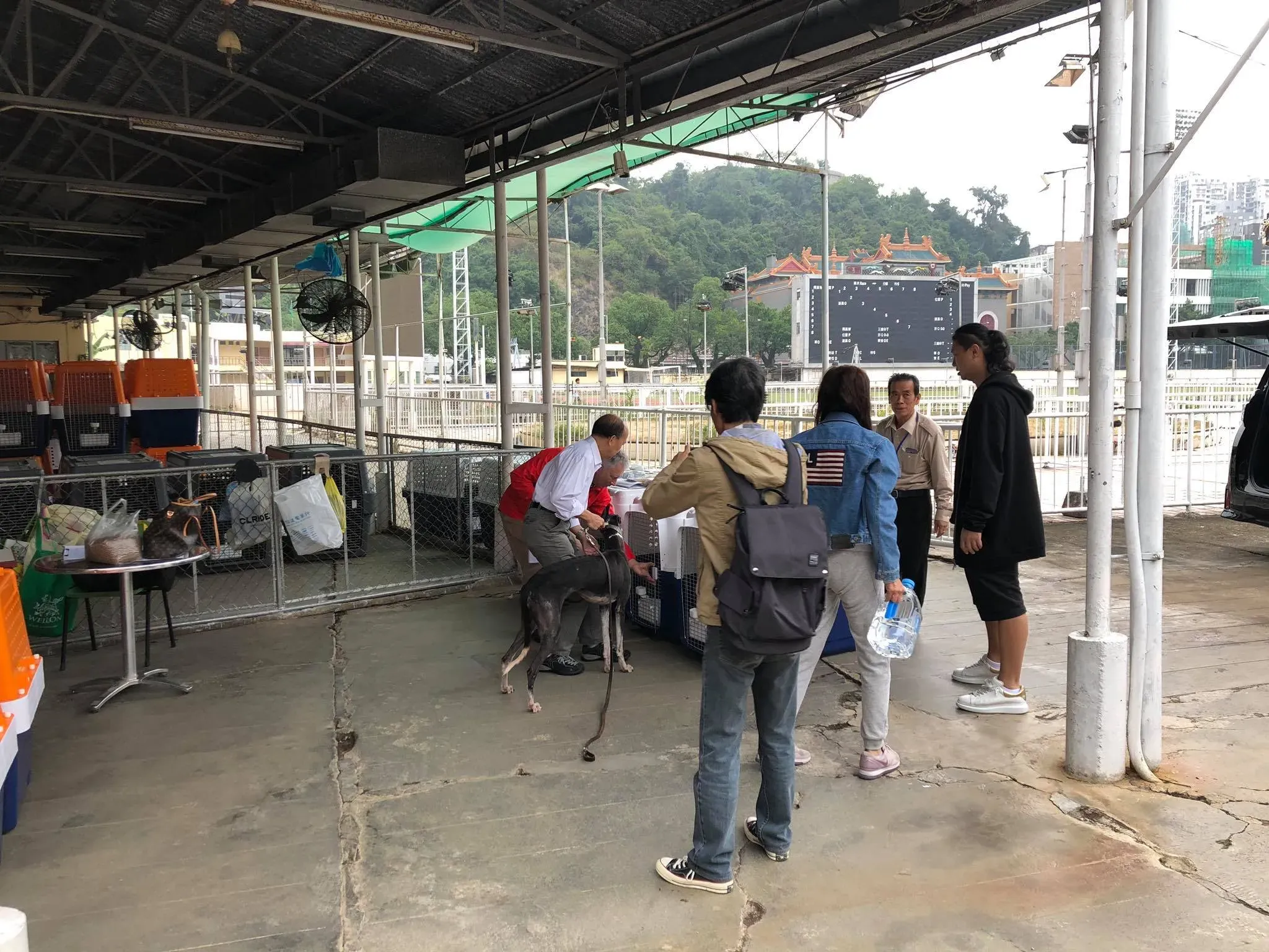 46785143 1801479333320088 2236445979911913472 o