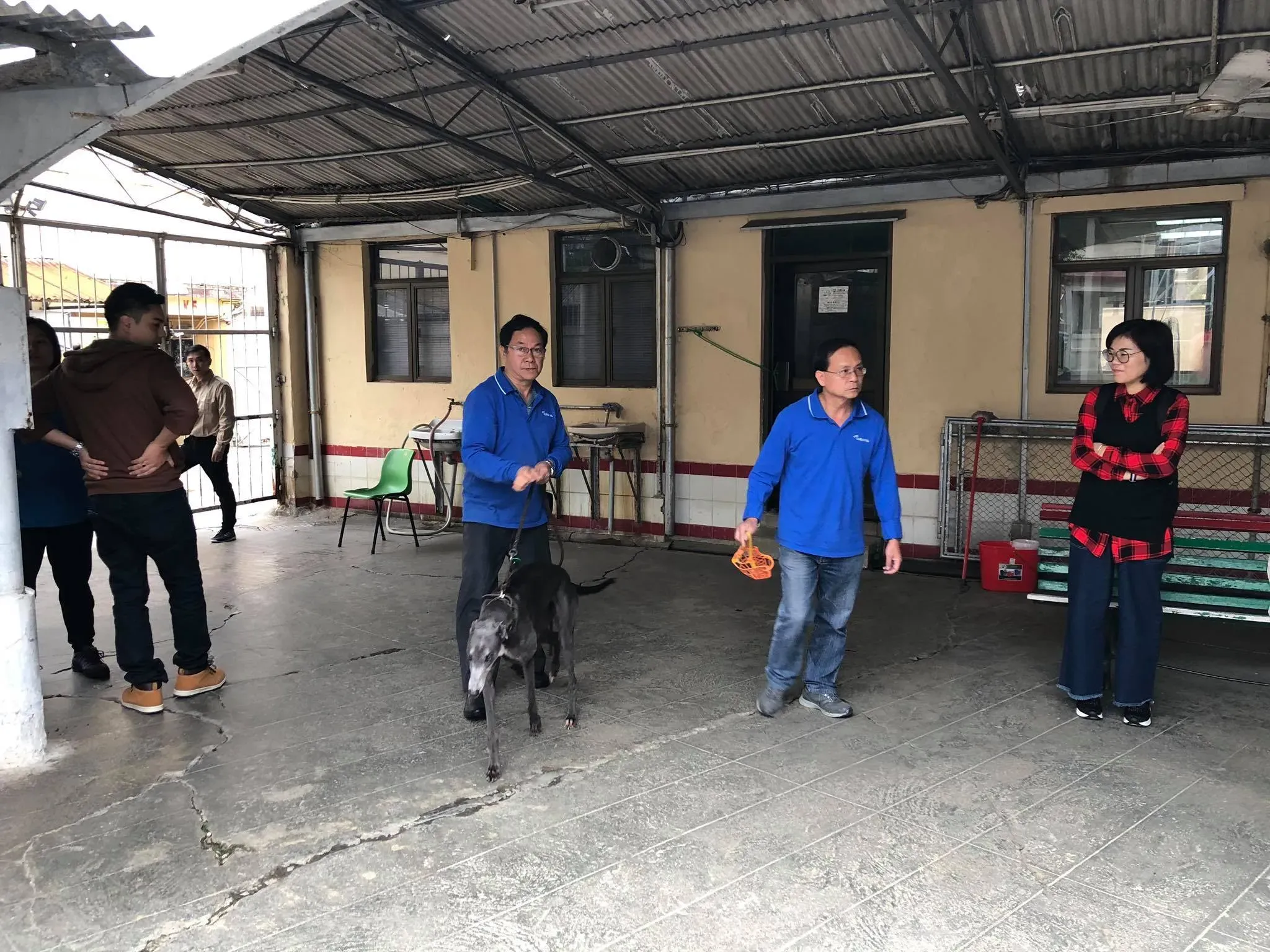 46785171 1801479709986717 5778109220880646144 o