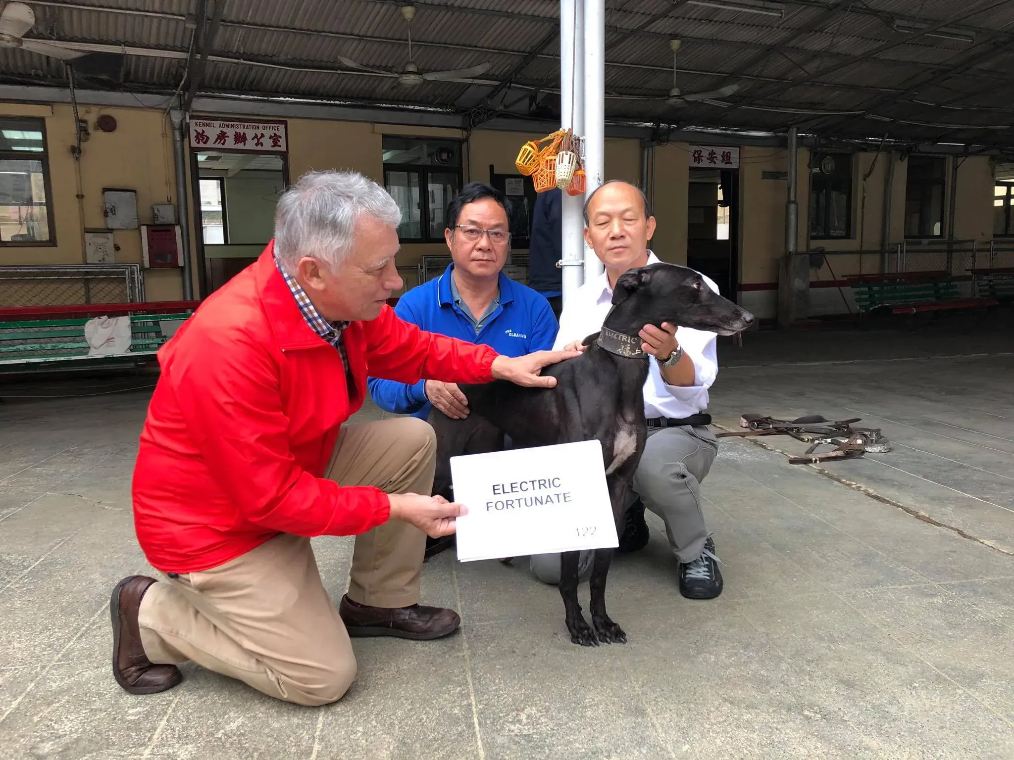 46799531 1801479139986774 2152690123320328192 o