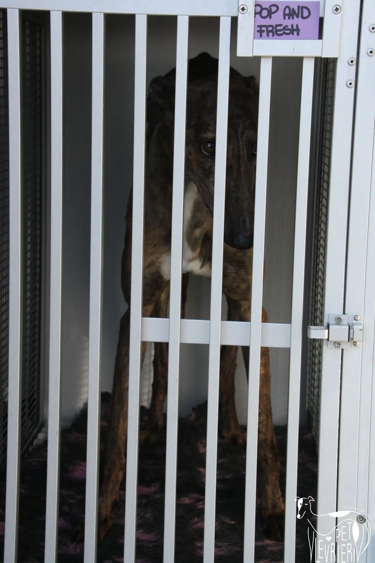 467ECE52 CEE9 4073 9FCE 72934A25B5ED