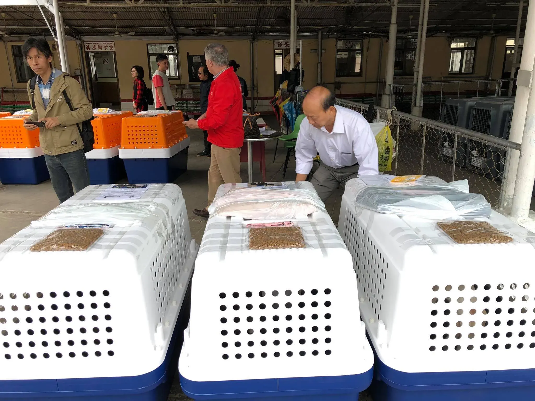 46801555 1801478919986796 5781606187548016640 o 1